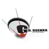 G. D. Goenka International School, Surat, Gujarat Boarding School Logo