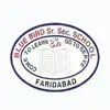 Blue Bird Senior Secondary School, Sector 48, Faridabad School Logo