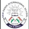 New Sainik International School, Hastsal, Delhi School Logo