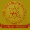Colonel Child Bloom School, Jharoda Kalan, Delhi School Logo