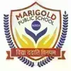 Marigold Public School, Sector 19, Noida School Logo
