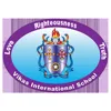 Vikas International School, Sanganer, Jaipur School Logo