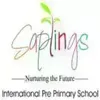 Saplings International Pre-Primary School, Paschim Vihar, Delhi School Logo