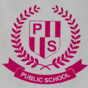P.S. Public School Building Image