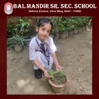 Bal Mandir Senior Secondary School (BMSSS) - 2