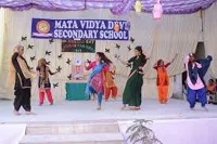 Mata Vidya Devi Public School - 2