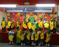 Bhatnagar International Summit - 1