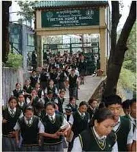 Tibetan Homes School - 5