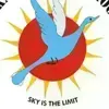 Vikas Bharti School Logo