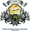 Pune International School Logo