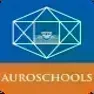 Auro Mirra International School Auro Mirra International School Logo