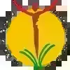 The Orchid School Logo